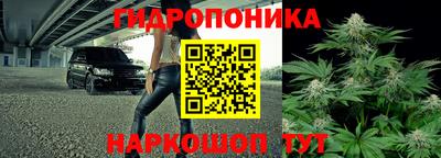 индика Ликино-Дулёво