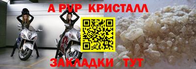 крисы Лесосибирск