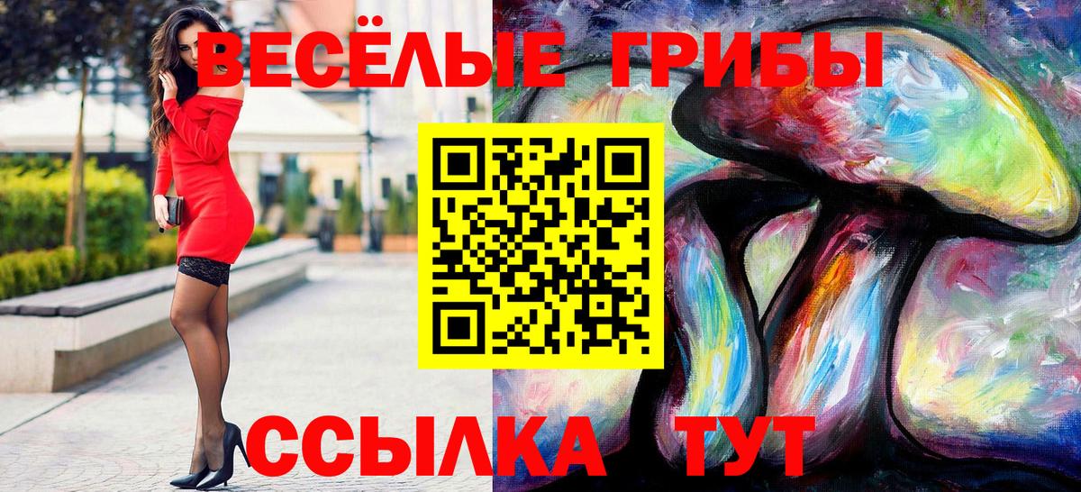 Углич  купить наркотик  Псилоцибиновые грибы Psilocybe  Вход с VPN  Псилоцибиновые грибы Psilocybe 
